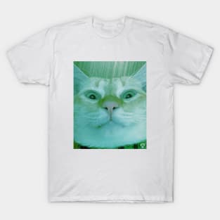 Cat stares into your soul v2 T-Shirt